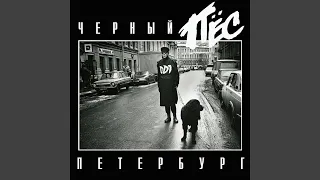 Черный пес Петербург (Llive)