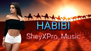 Arabic Music -Habibi #habibi #arabic #2022 #remix #pro