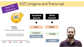 EST, Unigene and Transcript. What is the difference between them. (Reads, Contigs, Scaffold)