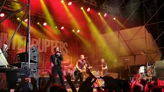 The Interrupters - She's Kerosene (Live @ Bay Fest 2022)