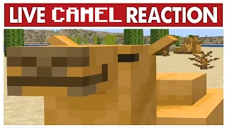 CAMEL MOMENT 1.20 Update REACTION (Minecraft Live 2022)