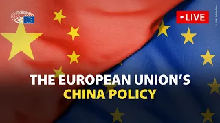 Debating the need for a coherent strategy for EU-China relations