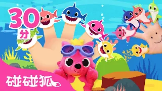 [30分] 鲨鱼宝宝手偶手指游戏合集｜鲨鱼宝宝 在哪里 🦈｜Baby Shark Puppet Finger Family & More｜儿歌合集｜中文儿歌｜碰碰狐儿歌｜碰碰狐pinkfong