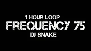 DJ Snake - Frequency 75 (1 Hour Loop)