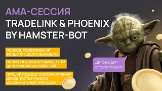 АМА-сессия #4 TradeLink с командой алготрейдеров PHOENIX by hamster-bot