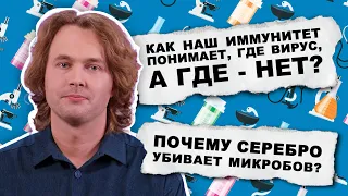 Почему серебро убивает микробов / Биомедицина — Дмитрий Костюшев / А почему?