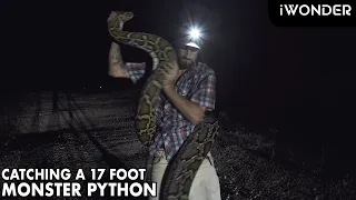 Catching A Monster Python In The Florida Everglades With The Python Cowboy