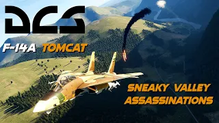 The Sneakiest Tomcat in the West | DCS World