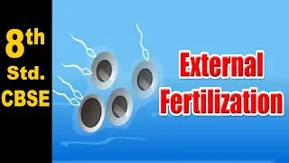 Class 8| External Fertilization | NCERT | Science | CBSE Board | Home Revise