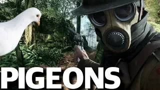 PIGEONS ARE SO MUCH FUN!! - Battlefield 1