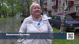 В Нижнекамске упавшие от сильного ветра ветки повредили иномарку