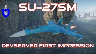 Dev Server First Impression : Su-27SM