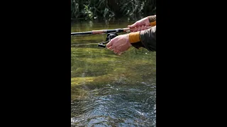 frish hunting Pond Water Fish Catching and Cooking Fish Gravy in our Village | country fish curry