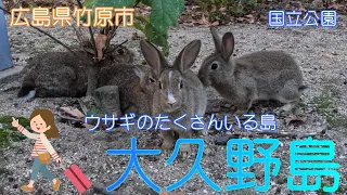 【広島県竹原市】大久野島でうさぎに癒されました【うさぎ島】