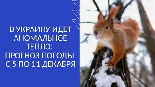 В УКРАИНУ ИДЕТ АНОМАЛЬНОЕ ТЕПЛО: ПРОГНОЗ ПОГОДЫ  С 5 ПО 11 ДЕКАБРЯ