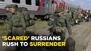 Ukraine War Live: Military's 'Surrender Hotline' For Russian Soldiers Buzzing  World News