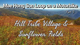 Mae Hong Son Loop Day 3: Hill Tribe Village and Wild Sunflower Fields