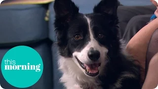 Our Dog Sniffed Out Our Daughter's Life-Threatening Disease | This Morning