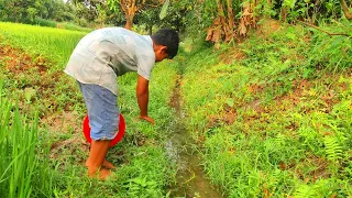 Expert Fisherboy Big Fish Catching In Water Drain | Best Fishing Video 2024