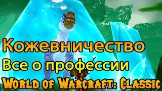 Кожевничество. Все о профессии в World of Warcraft: Classic