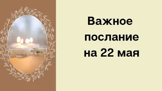 Важное послание на 22 мая. Место лидера.