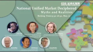 Unified domestic market deciphered: myths and realities