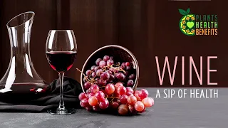 Wine: A Sip of Health | Plants Health Benefits