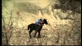 Die Pferde des Himmels (Deutscher Trailer)