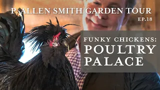 Wacky Crested Poultry Breeds: Celebrity Look-alike! | P. Allen Smith