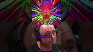 Joe Rogan: DMT is a Portal to Another Dimension