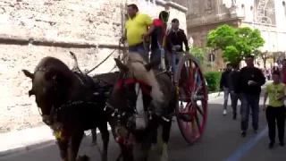 "Passeggiata Folkloristica dei Cavalli" 2017