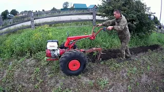 Мотоблок МТЗ-09 с реверсивным плугом ПЦ-1-18.Запахиваем скошенную фацелию.Работа в удовольствие.