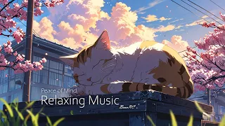 Relaxing Music for Study & Heal & Sleep & Calm your mind - 30 min Music - BeanBean RC