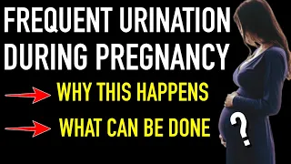 Frequent Urination Problem Is Common In Pregnancy - WHAT CAN BE DONE