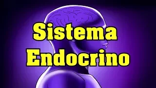 El Sistema Endocrino