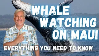 Whale Watching on Maui : When, Where, Why, and How | Best Time to whale watch | Maui Living