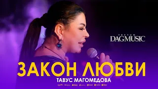 Тавус Магомедова - Закон любви (Звёзды DagMusic) Бомбовая Новинка 2022