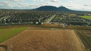 La semaine verte | Penser le territoire pour favoriser la biodiversité