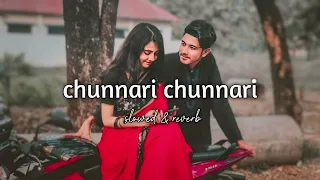 chunnari chunnari slowed reverb song hindi song #trending #viral lofi song hindi song