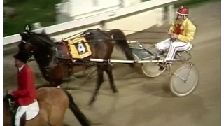 Harness Racing (Popular Alm-V.J.Night) Part One