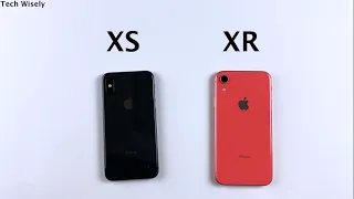 iPhone XR vs iPhone XS in 2021 Speed Test & Ram Management
