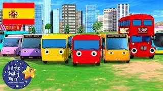 Canciones Infantiles | ¡Diferentes Tipos de Autobús! | Dibujos Animados | Little Baby Bum en Español