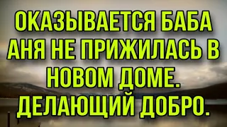 ОКАЗЫВАЕТСЯ БАБА АНЯ НЕ ПРИЖИЛАСЬ В НОВОМ ДОМЕ. ДЕЛАЮЩИЙ ДОБРО.