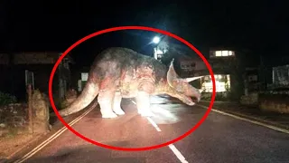 10 Dinosaurs Caught on Camera in Real Life