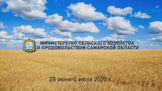 Итоги недели 28 июня - 5 июля 2020 г.