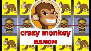 Взлом казино онлайн. Играю в crazy monkey слот