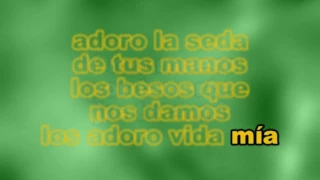 Armando Manzanero - Adoro karaoke letra lyric