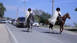 Свадьба чеченская. Красивая дорога. Кони.