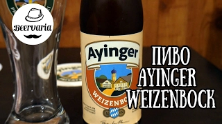 Дегустация Ayinger Weizenbock