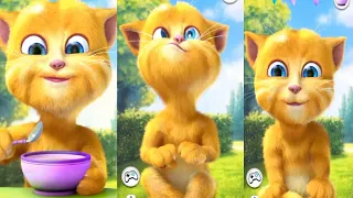 My taking ginger 🐈🐈😸🐈😸😿😺😘😽🙀😹😻😾😼🐈🐈🐈 funny ginger #ginger #android #youtube